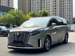 Buick GL8 ES Luxe Enjoyment Edition - ფოტო 1