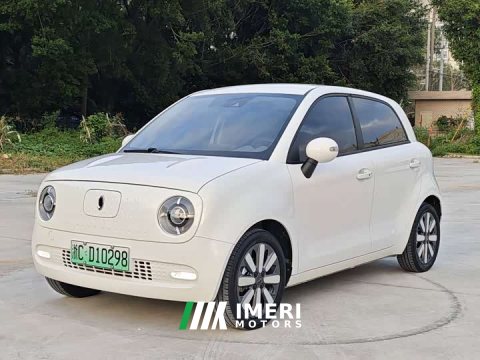 2021 ORA Black Cat 351km Luxury - ავტომობილი ჩინეთიდან