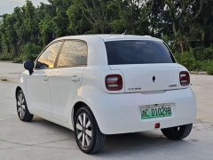 ORA Black Cat 351km Luxury - ფოტო 3