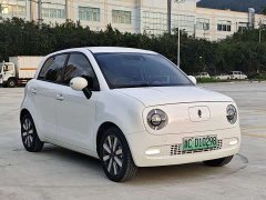 ORA Black Cat 351km Luxury - ფოტო 7