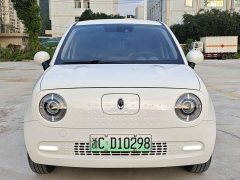 ORA Black Cat 351km Luxury - ფოტო 8