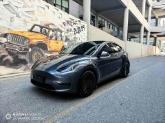 Tesla Model Y Rear-Wheel Drive - ფოტო 1