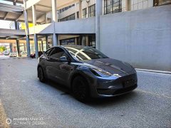 Tesla Model Y Rear-Wheel Drive - ფოტო 3