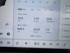 Li Auto L9 Max - ფოტო 14