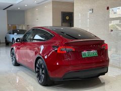 Tesla Model Y 2022 Performance All-Wheel Drive - ფოტო 12