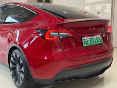 Tesla Model Y 2022 Performance All-Wheel Drive - ფოტო 15
