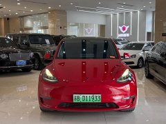 Tesla Model Y 2022 Performance All-Wheel Drive - ფოტო 2