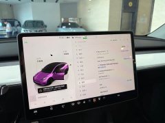 Tesla Model Y 2022 Performance All-Wheel Drive - ფოტო 6