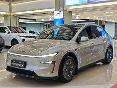 Tesla Model Y L Long Range All-Wheel Drive - ფოტო 1