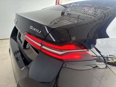 BMW 5 Series 530Li Luxury M Sport Package - ფოტო 9