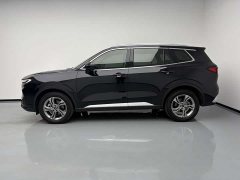 Ford Lingrui EcoBoost 170 Platinum Edition - ფოტო 8