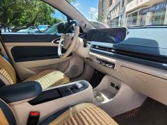 ORA Good Cat 400km Standard Range Athena Edition Ternary Lithium - ფოტო 18