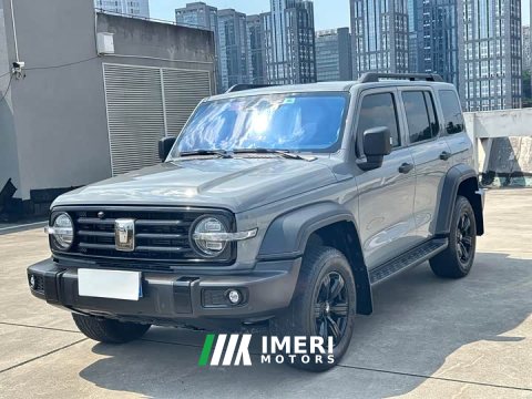 2023 Tank 300 Off-Road Edition 2.0T Conqueror - ავტომობილი ჩინეთიდან