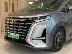 Denza D9 2022 DM-i 970 AWD Flagship - ფოტო 10