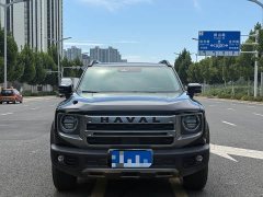 Great Wall Dachshund 1.5T DCT Border Collie Edition - ფოტო 2