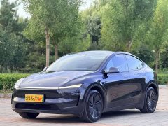 Tesla Model Y Rear-Wheel Drive - ფოტო 1