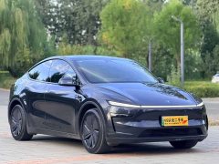 Tesla Model Y Rear-Wheel Drive - ფოტო 3