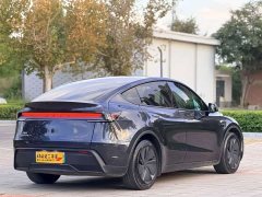 Tesla Model Y Rear-Wheel Drive - ფოტო 4