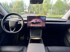 Tesla Model Y Rear-Wheel Drive - ფოტო 8