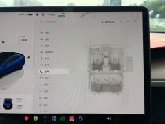 Tesla Model 3 Rear-Wheel Drive - ფოტო 16