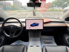 Tesla Model 3 Rear-Wheel Drive - ფოტო 8