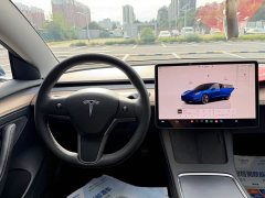 Tesla Model 3 Rear-Wheel Drive - ფოტო 9