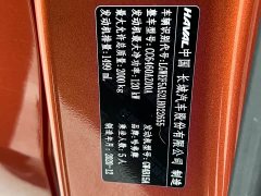 Great Wall Dachshund 1.5T DCT Two-Wheel Drive Labrador Edition - ფოტო 13