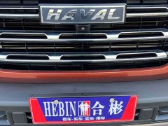 Great Wall Dachshund 1.5T DCT Two-Wheel Drive Labrador Edition - ფოტო 18