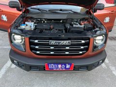 Great Wall Dachshund 1.5T DCT Two-Wheel Drive Labrador Edition - ფოტო 7