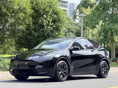 Tesla Model Y Rear-Wheel Drive - ფოტო 1