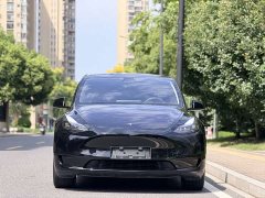 Tesla Model Y Rear-Wheel Drive - ფოტო 2