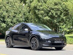 Tesla Model Y Rear-Wheel Drive - ფოტო 3