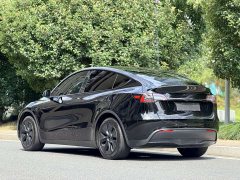 Tesla Model Y Rear-Wheel Drive - ფოტო 4