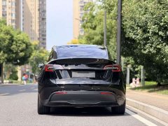 Tesla Model Y Rear-Wheel Drive - ფოტო 5