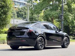 Tesla Model Y Rear-Wheel Drive - ფოტო 6