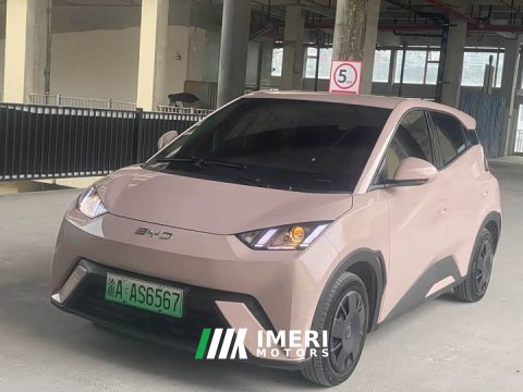 2024 BYD Seagull Glory Edition 305km Freedom Version - ავტომობილი ჩინეთიდან