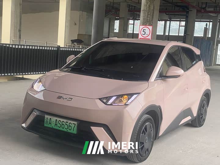 BYD Seagull Glory Edition 305km Freedom Version