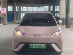 BYD Seagull Glory Edition 305km Freedom Version - ფოტო 2
