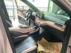 BYD Seagull Glory Edition 305km Freedom Version - ფოტო 4