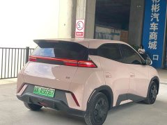 BYD Seagull Glory Edition 305km Freedom Version - ფოტო 7