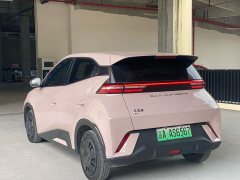 BYD Seagull Glory Edition 305km Freedom Version - ფოტო 8