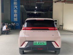 BYD Seagull Glory Edition 305km Freedom Version - ფოტო 9