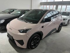 BYD Seagull Smart Driving Edition 305km Freedom Edition - ფოტო 1