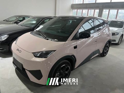 2025 BYD Seagull Smart Driving Edition 305km Freedom Edition - ავტომობილი ჩინეთიდან