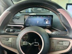 BYD Seagull Smart Driving Edition 305km Freedom Edition - ფოტო 17