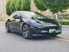 Tesla Model 3 Rear-Wheel Drive - ფოტო 1