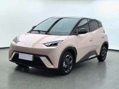 BYD Seagull 2025 305km Freedom Edition - ფოტო 1