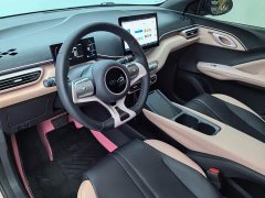 BYD Seagull 2025 305km Freedom Edition - ფოტო 13