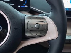 BYD Seagull 2025 305km Freedom Edition - ფოტო 19