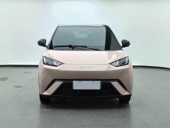 BYD Seagull 2025 305km Freedom Edition - ფოტო 2